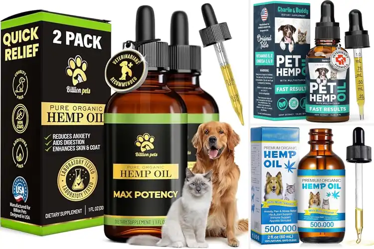 Detailed view of Best Calming Oils for Dogs: 10 Top Picks for a Relaxed Pup