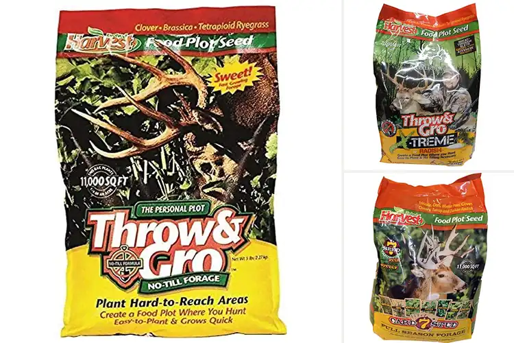 Detailed view of Best Deer Food Plots