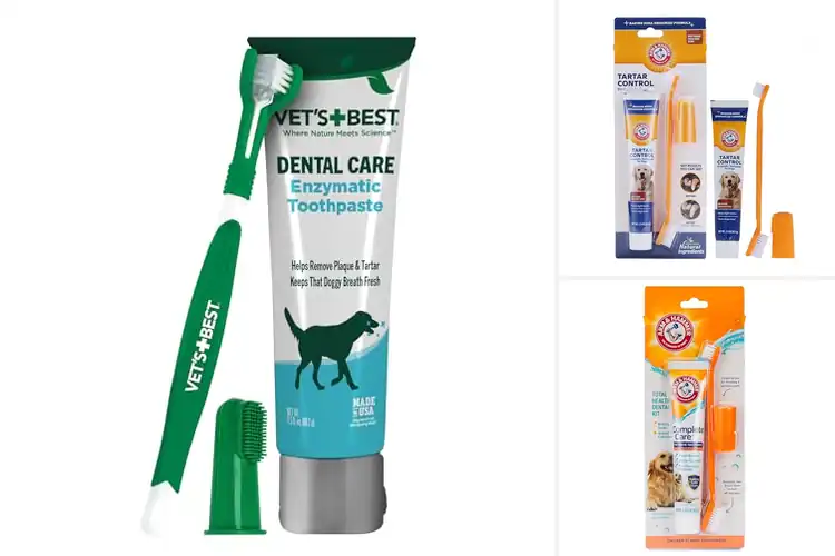 Detailed view of Best Dog Dental Care Kits