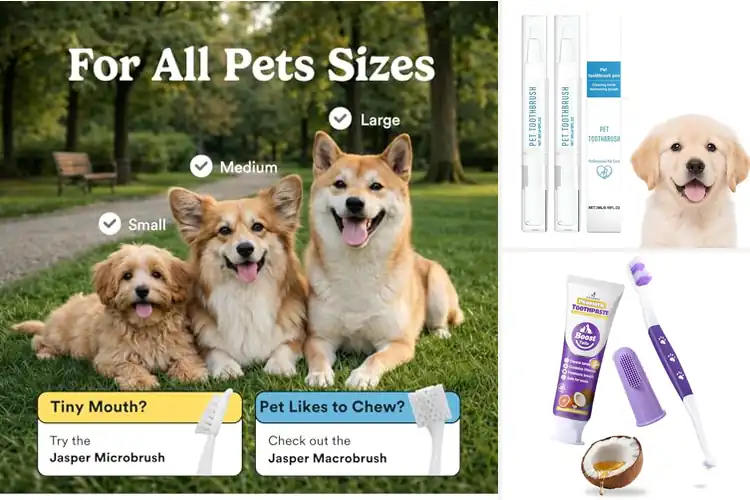 Detailed view of Best Dog Toothbrushes for Whitening