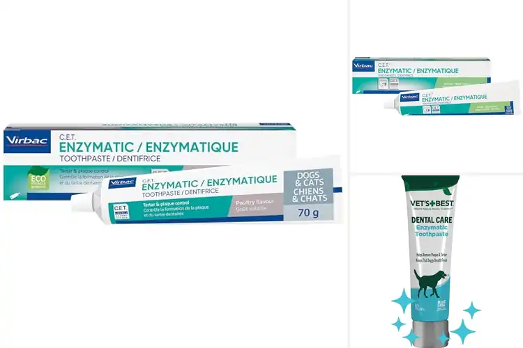 Detailed view of Best Enzymatic Dog Toothpastes