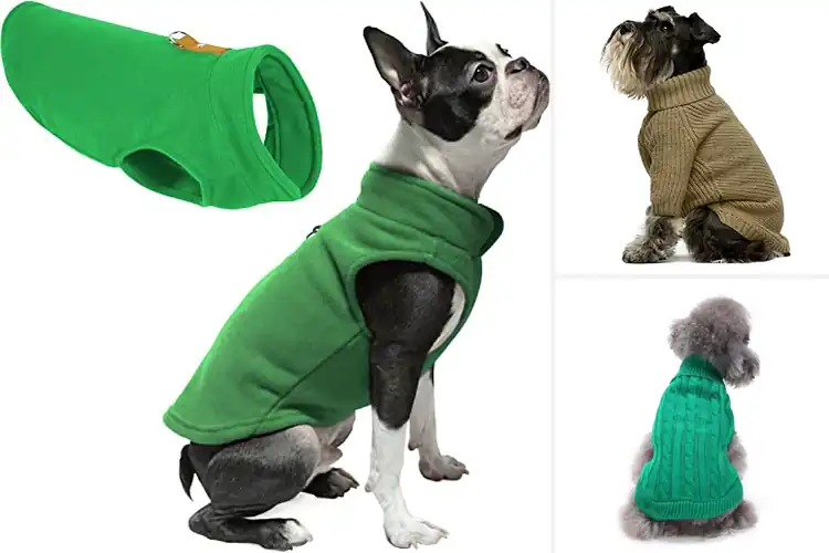 Detailed view of Best Green Dog Sweaters: Top Cozy Picks for Warmth & Style