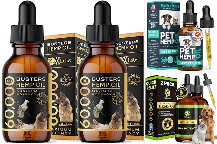 Detailed view of Best Hemp Oils for Cats: Top Picks for Feline Wellness