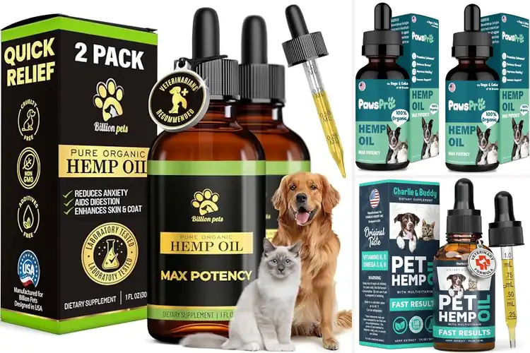 Detailed view of Best Hemp Oils for Dogs and Cats