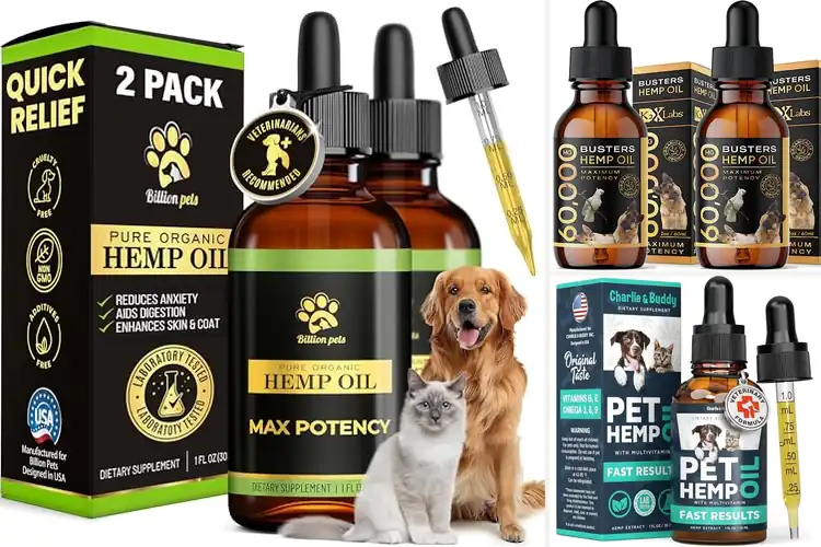 Detailed view of Best Hemp Oils for Pets