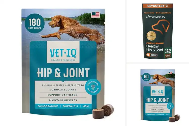 Detailed view of Best Hip Joint Supports for Dogs