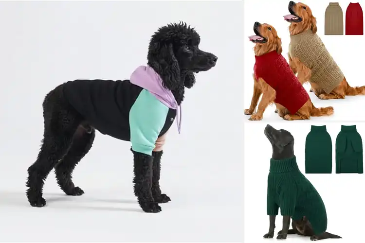 Detailed view of Best Large Breed Dog Sweaters