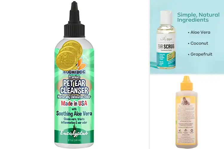 Detailed view of Best Natural Ear Cleansers