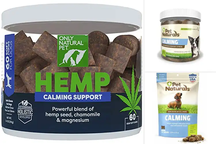 Detailed view of Best Natural Pet Anxiety Treatments
