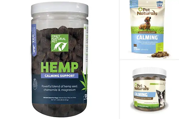 Detailed view of Best Natural Pet Relaxants: 10 Safe Solutions for Calm Pets