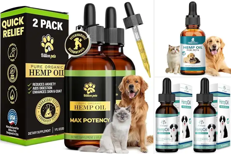 Detailed view of Best Pain Relief Oils for Cats