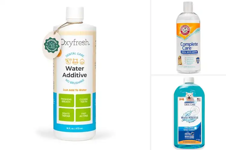 Detailed view of Best Pet Dental Health Solutions