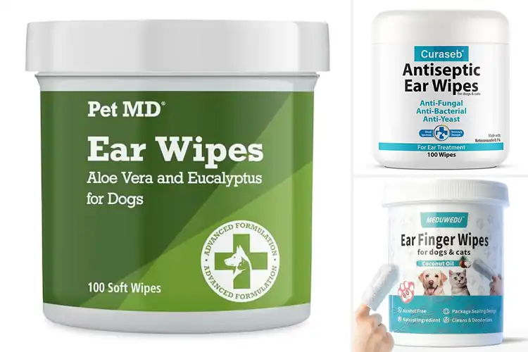 Detailed view of Best Quality-Assured Ear Wipes