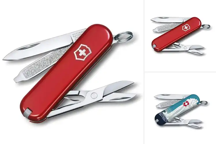 Detailed view of Best Small 58mm Swiss Army Knife Tools