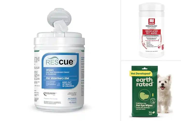 Detailed view of Best Vet-Formulated Wipes