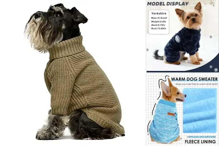 Detailed view of Best Warm Dog Sweaters For Winter: 10 Cozy & Stylish Picks