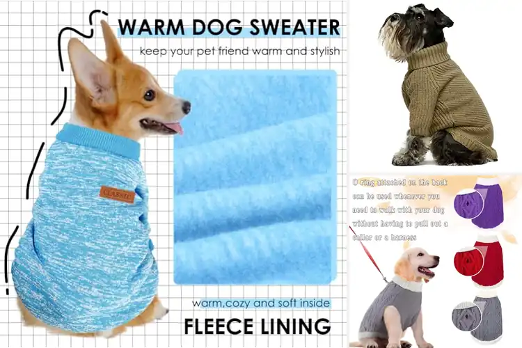 Detailed view of Best Winter Dog Sweaters